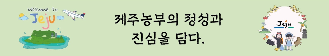 제주 B2B 유통 전문